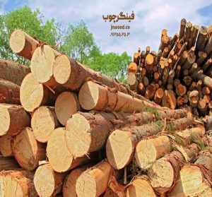 نحوه تشخیص چوب راش