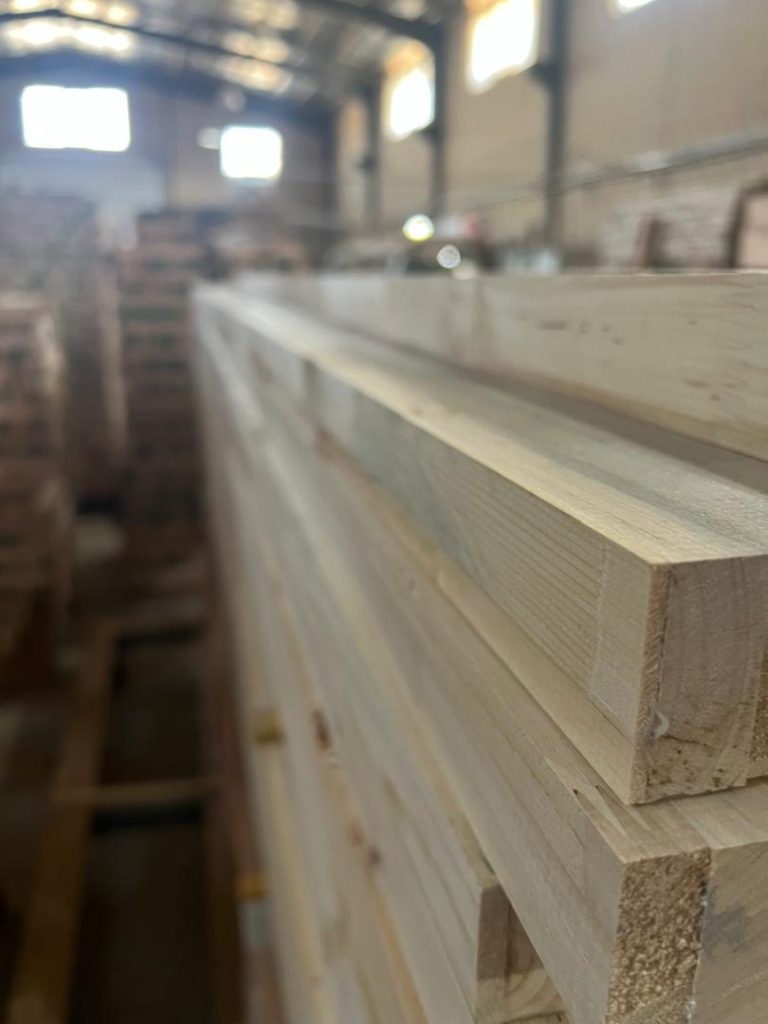 بائو درب 1 بائو درب